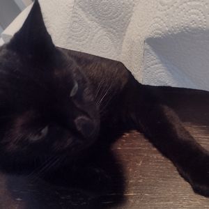 Meet your Posher, Emma